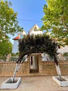 Cozy Apartment in Villa Ifrane