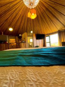 Yurt with mountain view