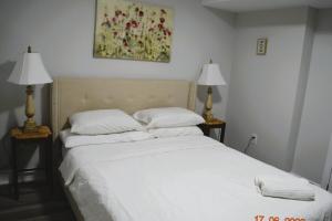 Comfortable 3 bedroom basement apartment