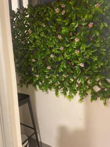 Violet Cordón, 2 bedrooms and garage