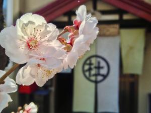The Otaornai Backpackers Hostel Morinoki