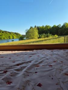 Lake window