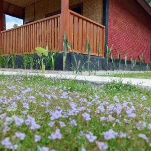 Nahla bungalows tetebatu