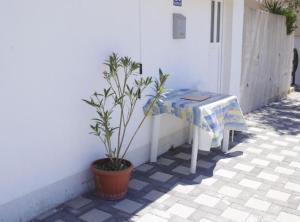 Zdenka Adriatic View Apartments