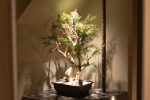 New Shinjuku Villa, Rooftop Bath, 3 Ensuite BRs