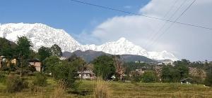 Belmont home stay