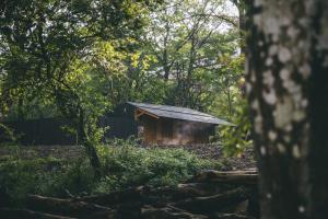 Earthboat Nasu - Glamping Cabin with Private Wood-Fired Sauna & Onsen, Pet-Friendly & Cage-Free