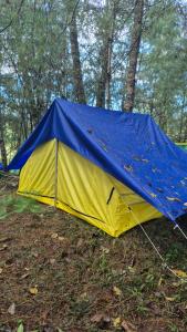 SafarnamaStays Ziro Music Festival Camping