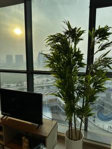 Sage Blossom, Conscient One, Dwarka Expressway
