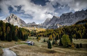 Dolomiti Haus Pampeago Sci e Trekking Impianti a 1 minuto