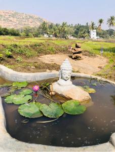 Serene Boulders Hampi