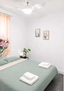 Alojamiento Casa verde en Murcia centro