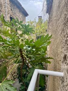 Duplex Pierre et Garance Lauris