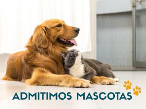 Apartamentos Oropesa Primera Línea 3000