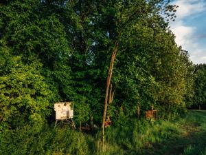 Posed Lišák by TwoFingers glamping