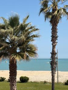 Terrazza sul Blu - Fronte Mare