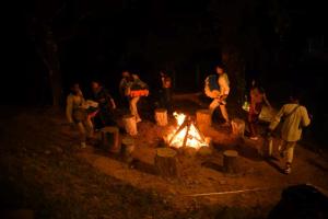 Red Panda Jungle Camp - A Unit of Davinchi Homes Pvt Ltd