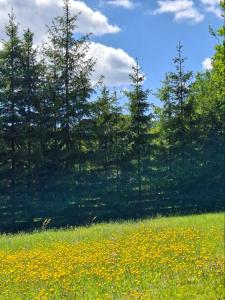 Domek Góralski Beskid Sądecki
