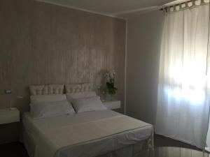B&B Mosagi