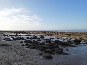 Seaside Haven Hunstanton 2026 Model