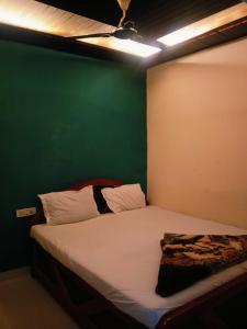 Arya paying guest house