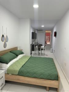 Mane Studio Apartment