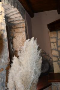Homestay Mali golji