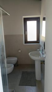 Oasi 29
