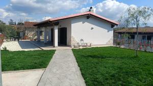 Oasi 29