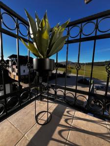Zlatibor Hills - MoNETTA apartman