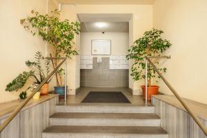Old Town 1BR Apt near Main Square