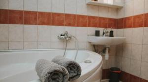 Apartment Metija LUX with private sauna