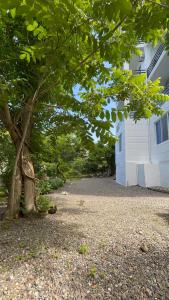 Kolkhi Guest House