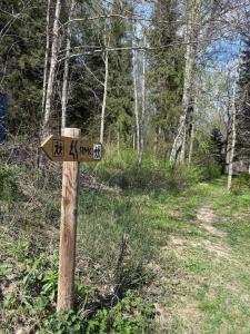 Mäeveski apartament