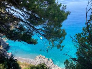 Affittacamere L’ Agrumeto