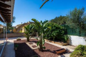 Villa Conchita