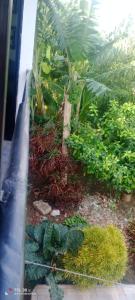 Casa vacacional en Girardot
