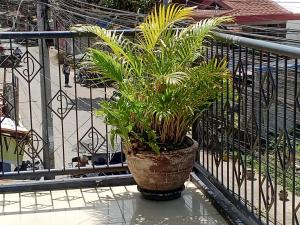 Remarkable 2-Bed rooms condo Unit in Davao City