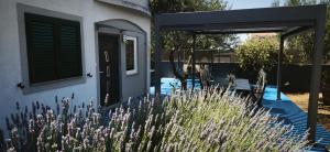 Apartments Borna