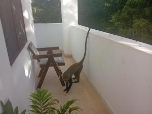 Cozy 1 Bedroom House by the Beach