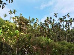 Belandur Bliss Homestay