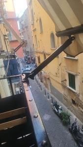 Little NAPOLI