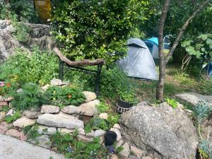 Kamp Seosko domaćinstvo Radman