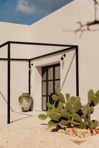 Casa Musa