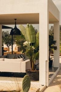 Casa Musa