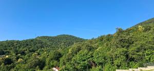Villa Vesna