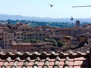 Duomo & Pinacoteca Suite