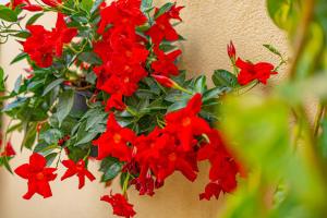 Apartamento Calasanz - Plusholidays