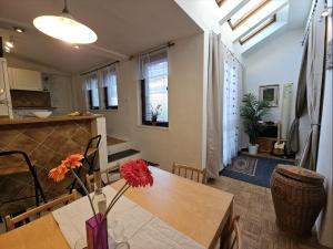 Big spacious family house Šoustalova street by HifiKlubBrno