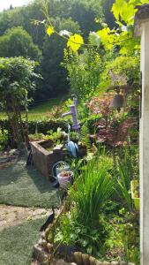 Tiny House cosy, jardin romantique forestier, route du vin, sentiers